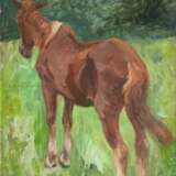 Friedrich Schaper (Braunschweig 1869 - Hamburg 1956). Stehendes Pferd nach links - фото 1