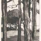 Carl Arp (Kiel 1867 - Jena 1913). Bäume am See - Foto 1