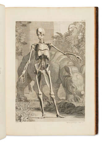 ALBINUS, Bernard Siegfried (1697-1770) Tables of the Skeleto... - Foto 1