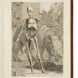 ALBINUS, Bernard Siegfried (1697-1770) Tables of the Skeleto... - Foto 1