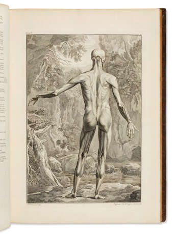 ALBINUS, Bernard Siegfried (1697-1770) Tables of the Skeleto... - фото 2