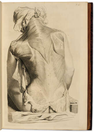 COWPER, William (1666-1709) Anatomia Corporum Humanorum Cent... - фото 1
