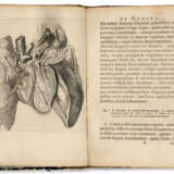 DESCARTES, René (1596-1650) De homine figuris, et latinitate... - Foto 1