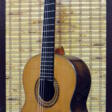 Классическая гитара ALMARI № 20, из индийского палисандра. - Achat en un clic