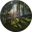 Window to the forest - Achat en un clic