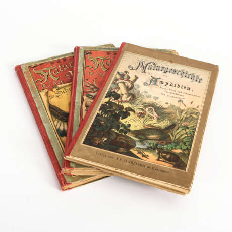 3 Bände "Naturgeschichte für Schule und Haus" - Foto 1