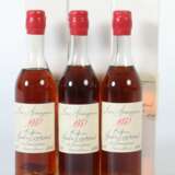 3 Flaschen Armagnac Baron Gaston Legrand Bas Armagnac - фото 1
