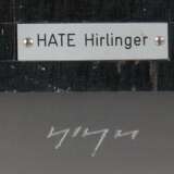 Hirlinger - Foto 3