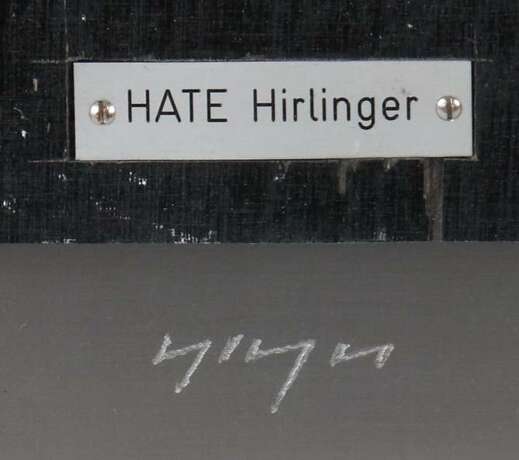 Hirlinger - фото 3