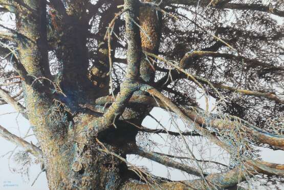 Künstler des 20. Jahrhundert ''Äste eines Baumes'' - photo 3