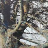 Künstler des 20. Jahrhundert ''Äste eines Baumes'' - photo 3