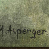 ASPERGER, Max (1864 Apolda - 1924 Gotha) - photo 2