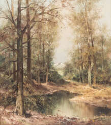 MALER des 20. Jahrhundert, "Voralpenlandschaft mit einem Weiher in Birkenwald", unten rechts undeutl. signiert,