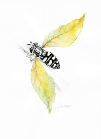 Dessin «Entomologie d&#39;automne (1)», Papier, Aquarelle, 2020 - photo 1