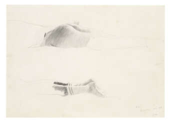 DAVID HOCKNEY (B 1937)