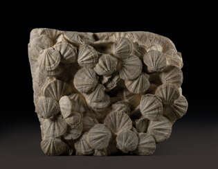 A LARGE GROUP OF FOSSILIZED SCALLOPS