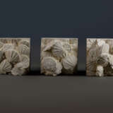 A TRIPTYCH OF PLAQUES WITH FOSSILIZED SCALLOPS - Foto 1