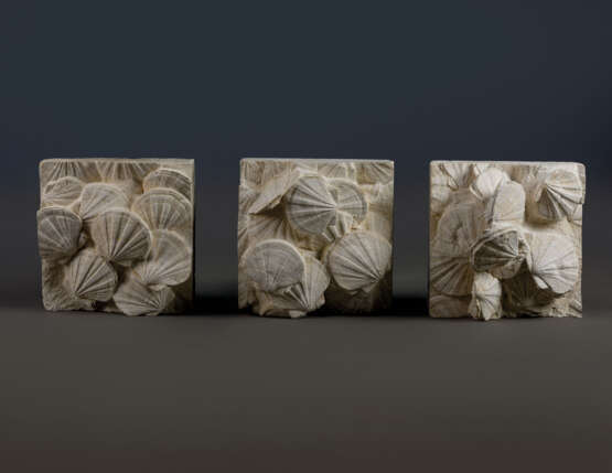 A TRIPTYCH OF PLAQUES WITH FOSSILIZED SCALLOPS - Foto 1