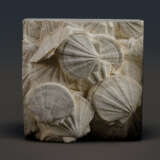 A TRIPTYCH OF PLAQUES WITH FOSSILIZED SCALLOPS - Foto 3