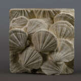 A TRIPTYCH OF PLAQUES WITH FOSSILIZED SCALLOPS - Foto 4