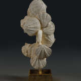 A GROUP OF FOSSILIZED SCALLOPS - Foto 1