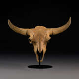 A LARGELY COMPLETE FOSSIL STEPPE BISON SKULL - фото 1