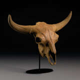 A LARGELY COMPLETE FOSSIL STEPPE BISON SKULL - Foto 2