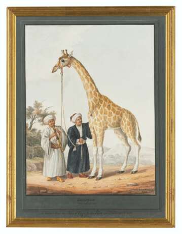de Brocktorff, Charles Frederi. Charles Frederick de Brocktorff (1775–1850) - Foto 3