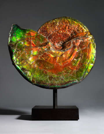 A LARGE IRIDESCENT AMMONITE - photo 1