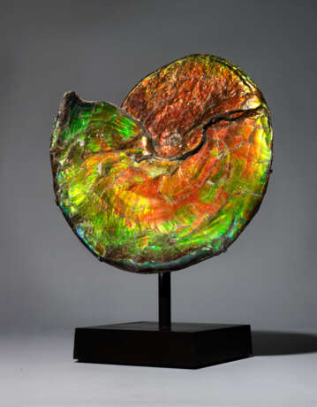 A LARGE IRIDESCENT AMMONITE - photo 2