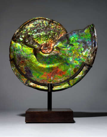 A LARGE IRIDESCENT AMMONITE - photo 3