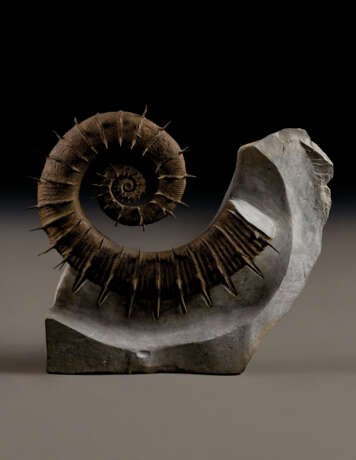 A FINE UNCOILED SPINY AMMONITE - фото 1