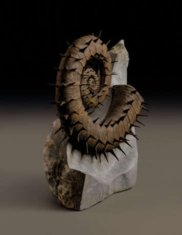 A FINE UNCOILED SPINY AMMONITE - фото 2