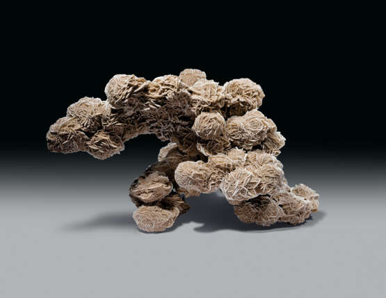 A DESERT ROSE FORMATION - фото 3