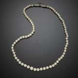 Cultured graduated pearl necklace with pearl diam. from mm 5.75 to mm 9.45 circa - photo 1