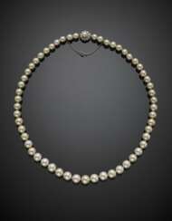 Cultured graduated pearl necklace with pearl and diamond white gold cluster clasp