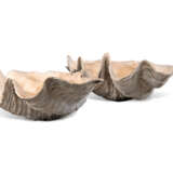 A PAIR OF GIANT CLAM SHELLS 'TRIDACNA GIGAS' - photo 2