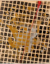 Franco Angeli (1935-1988)