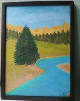 Ель. Spruce. Ель. Spruce.