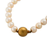 Set aus Akoya Perlenkette mit Perlohrsteckern, - Foto 4