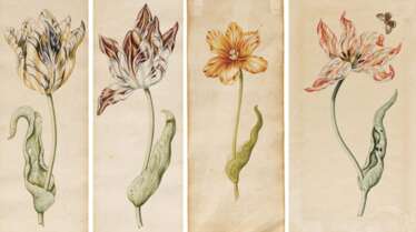 Vier Blätter mit einzelnen Tulpen