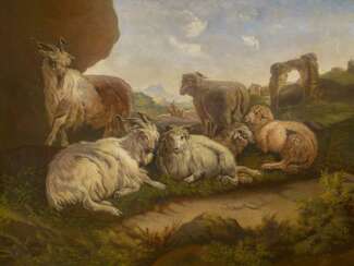 Schafe und Ziegen unter italienischen Ruinen