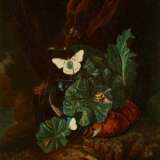 Hamilton, Carl-Wilhem de. Zwei Gemälde: Waldbodenstillleben mit Schmetterlingen und Reptilien - photo 2