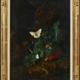 Hamilton, Carl-Wilhem de. Zwei Gemälde: Waldbodenstillleben mit Schmetterlingen und Reptilien - Foto 3
