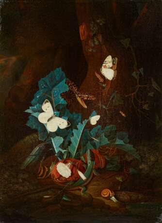 Hamilton, Carl-Wilhem de. Zwei Gemälde: Waldbodenstillleben mit Schmetterlingen und Reptilien - Foto 5