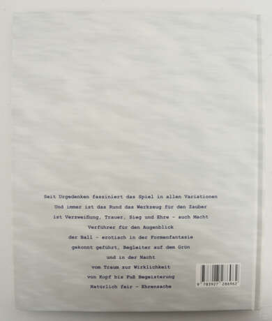 WIMPEL LÄNDERSPIEL 1981, polychrom bedruckter Stoff mit Unterschriften, 1984 - Foto 6