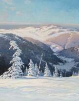 Verscheite Schwarzwaldhöhen im Sonnenlicht