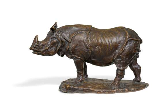 Navellier, Edouard. Rhinozeros - Foto 1