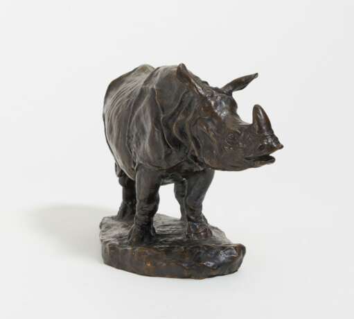 Navellier, Edouard. Rhinozeros - Foto 4