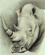 Sergey Stroganoff (b. 1982). Белый носорог